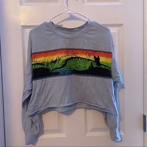 long sleeve cropped top